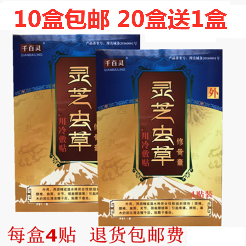 Ganoderma lucidum cordyceps bone repair paste far infrared paste cold paste buy pat buy 10 boxes of 4 stickers