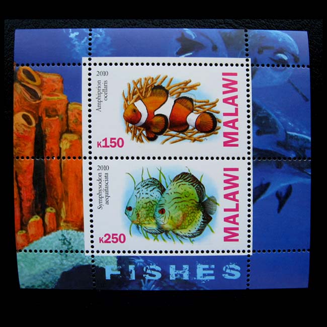 Fish stamps * Malawi 2010 tropical fish 2 new full *NP0781