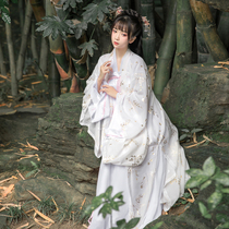 Hanfu female Chinese style Tang costume costume full chest skirt super fairy girl Han element fresh and elegant wide sleeve flowing fairy skirt