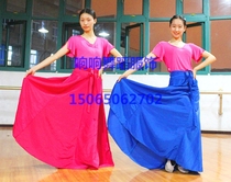 Korean dance practice skirt modern dance adult female children practice half-length skirt big swing dress national costume