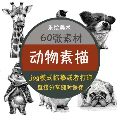Children's creative animal sketch material Electronic Version 60 copy painting art materials can be printed without watermark