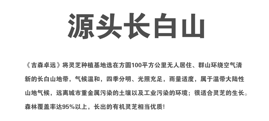 【买二送二】长白山头道破壁林芝袍子粉