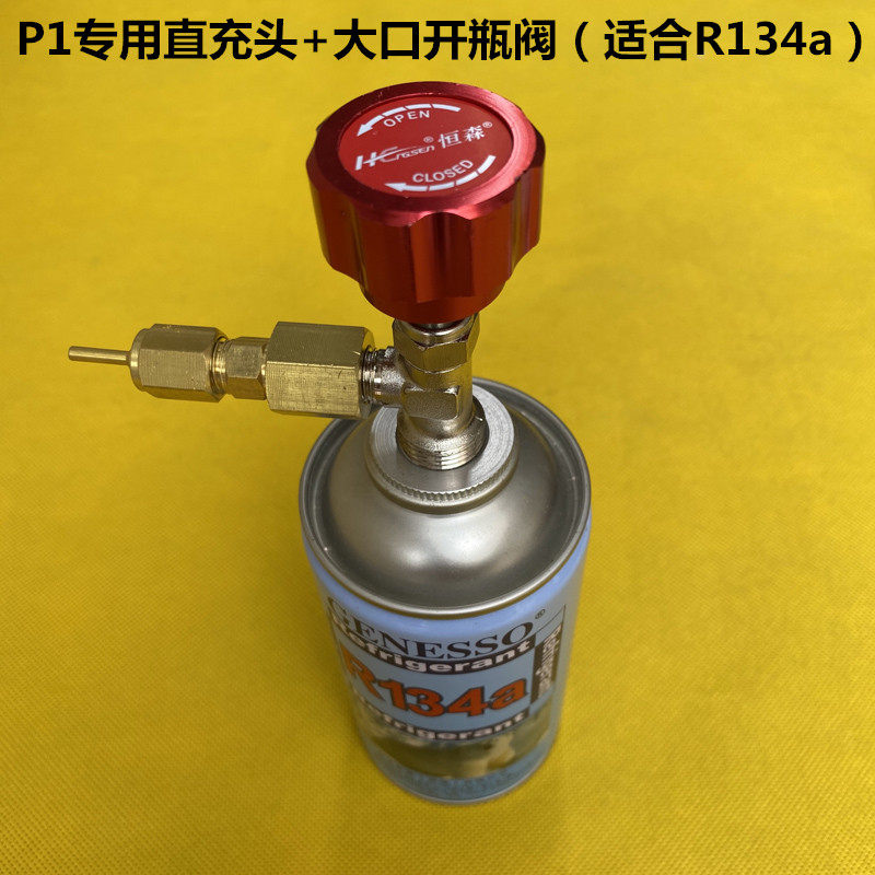 P1 Feed Negligible straight flush R290 straight charge head 600 coolant inflatable valve P1 straight charge 134R22 coolant head