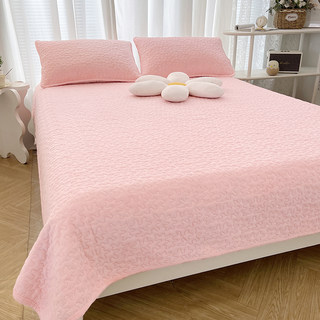 新款牛奶绒夹棉床盖三件套加厚冬季纯色两用加绒床单件保暖床褥子