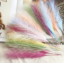 Carolyn blue color feather phoenix tail grass DIY white simulation flower home decoration wedding hand bouquet props