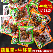 4 flavor Yunnan specialty chicken fir fungus delicious Boletus 500g spicy barbecue spicy edible fungus snack