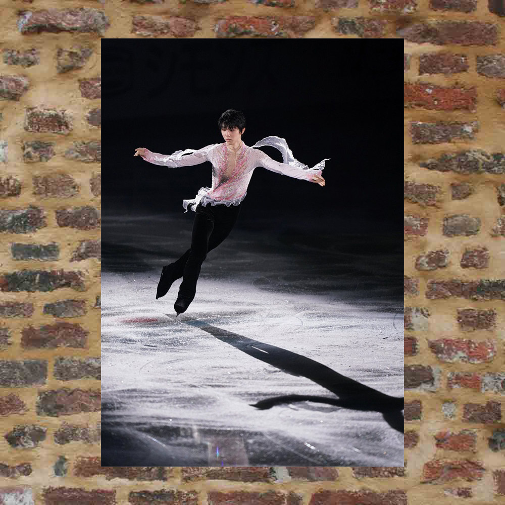 Plume knot poster ETK165 for a total of 8 298 pictures around 8 pictures around photo plums