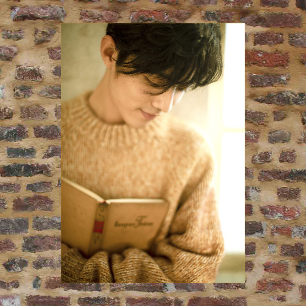 Showar posters Custom LRG313 total of 500 optional full 8 sheets A3 pictures surrounding photos