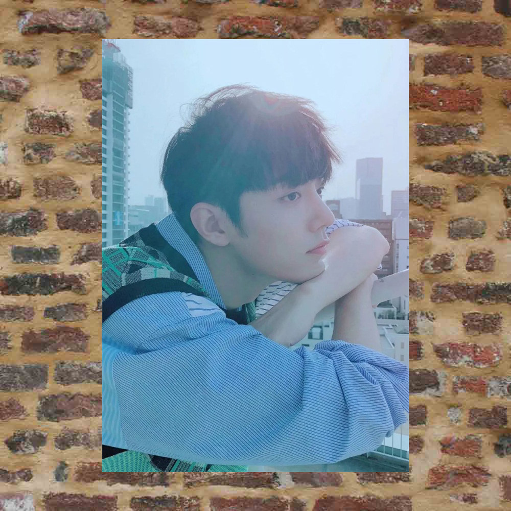 Showar posters Custom LRG122 total of 500 optional full 8 sheets A3 pictures surrounding photos