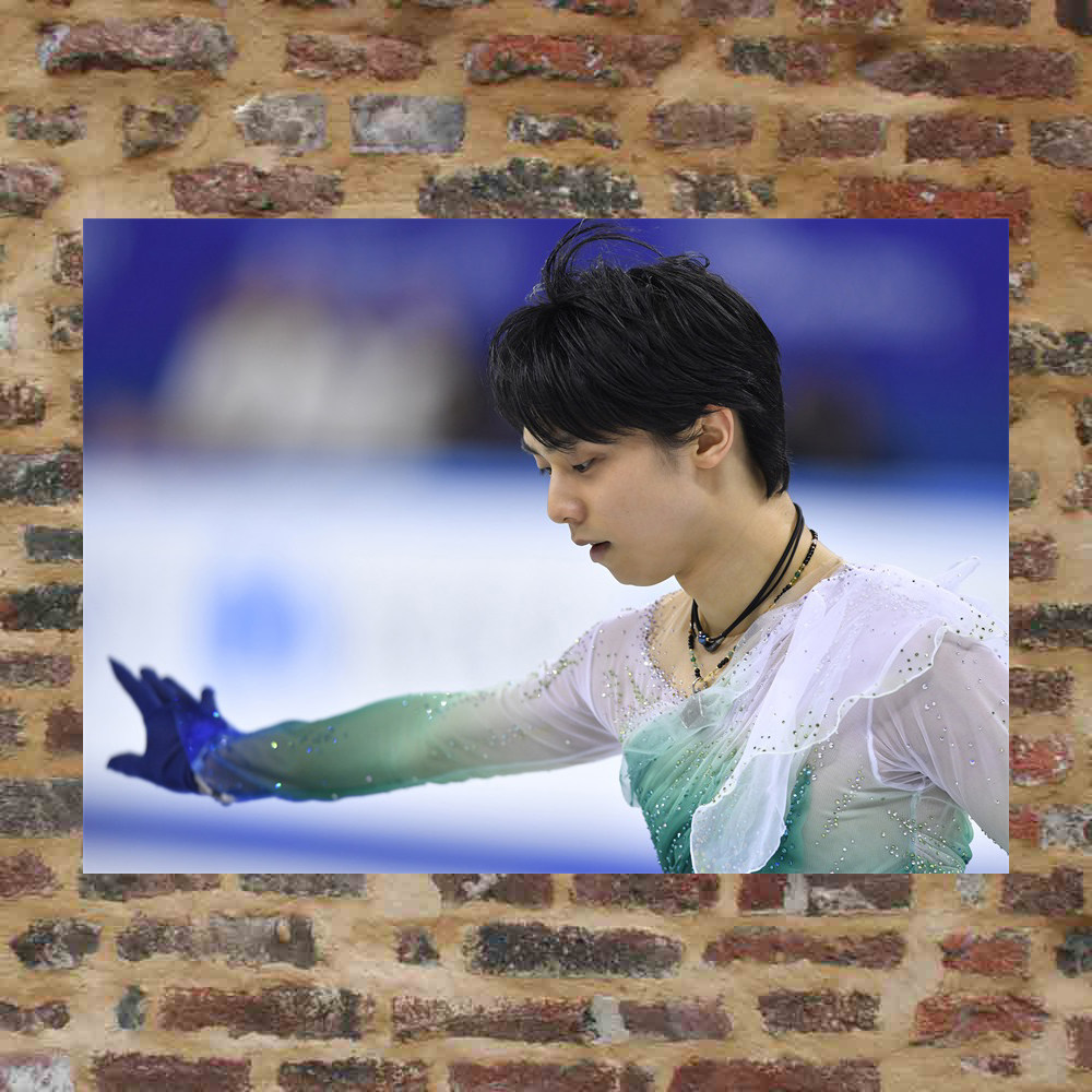 Plume knot posters custom-made ETK568 A total of 298 full 8 photos of A3 photos surrounding plums