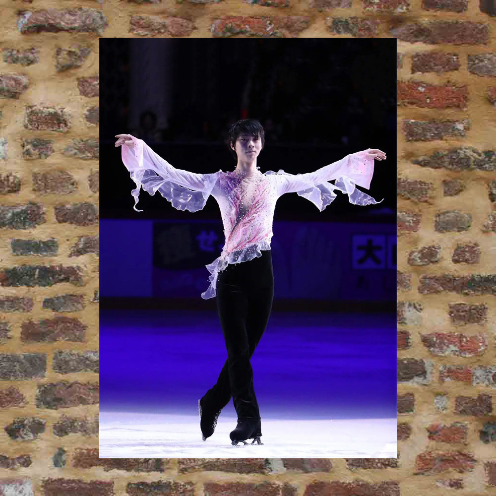 Plume knot posters custom-made ETK202 A total of 298 full 8 photos of A3 photos surrounding plums