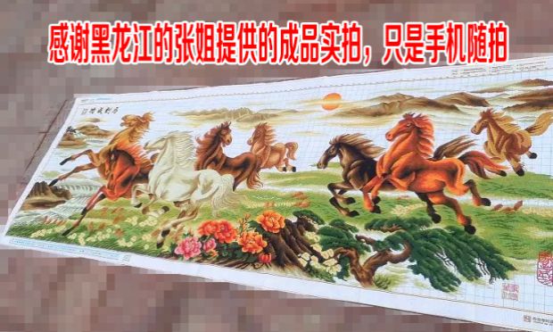 In cross stitch sơn phòng khách Tám Ngựa thành công cho khâu một lụa mới lưới lớn SZX tối giản đáng kể - Công cụ & phụ kiện Cross-stitch bộ dụng cụ thêu tay