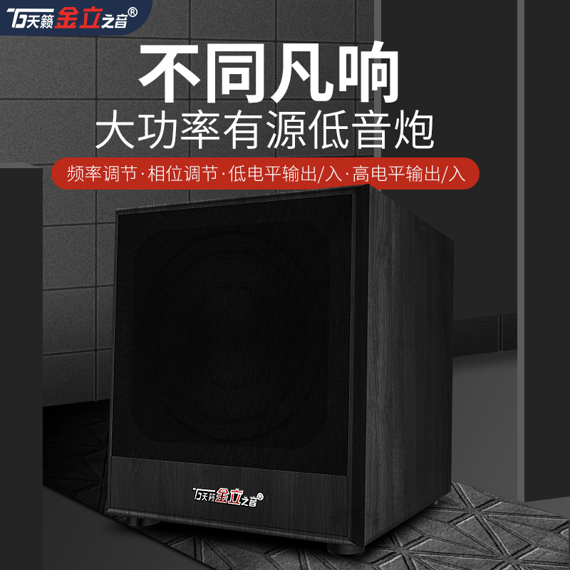 Soundtrack Gold standout D10 10 inch High power active Low tone Bass Overweight Bass Home Stage Speaker Home KTV