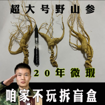 Ginseng Changbai Mountain wild ginseng forest ginseng 20 years old Chinese medicinal material ginseng raw sun-dried ginseng soaked in wine
