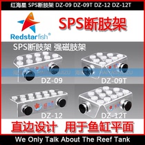 The Red Sea Star SPS Broken Limb DZ-09 DZ-09 DZ-09T DZ-12 DZ-12T