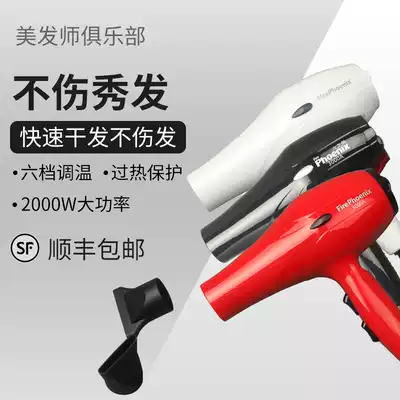 Douyin with SF Feng Feng hair dryer 3000A home shop hair salon high power hair dryer