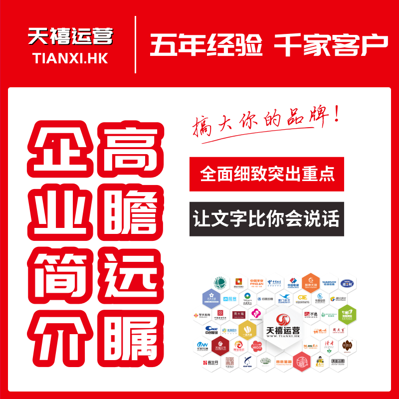 Corporate Introducing Brand Story Marketing Soft Wenwen Case Planning Project Company Personal Intro Culture ppt Production-Taobao