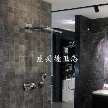 Hansgrohe Starck 24x24 head constant temperature shower head 10925000 45712000 set