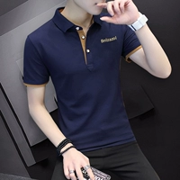 6130 Тибетский Цин [хлопок]