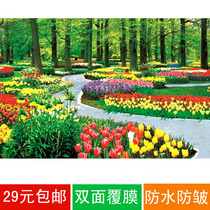 Home decoration landscape waterfall landscape poster painting living room without back glue wall stickers Park Tulip 713