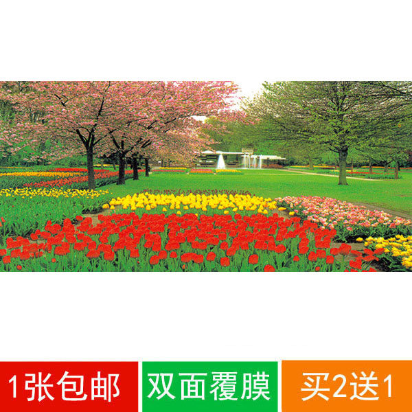 Landscape, landscape, waterfall, no glue, modern decorative painting two-piece oversized 106*230CM flower, grass and tree park
