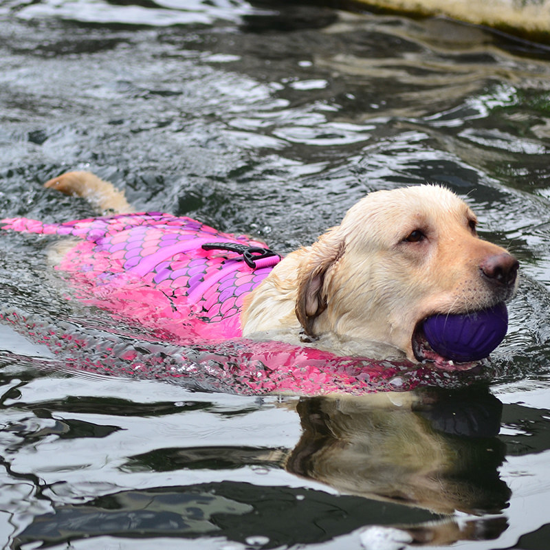 New Doug Dog Swimming Bomei Fadou Koji Teddy Schnauzer Golden Mao Labrador Pet Lifejacket