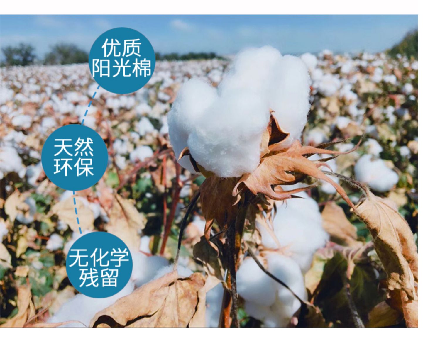 Một cặp gối bông lõi gối đơn gối trẻ em gối đôi gối bọc da ký túc xá sinh viên - Gối trường hợp gối chặn vỏ đỗ