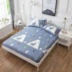 Bông trang bị bông trải giường đơn mảnh vỏ bảo vệ bụi che 1.2m1.5 1,8 m đúp Simmons bộ nệm - Trang bị Covers