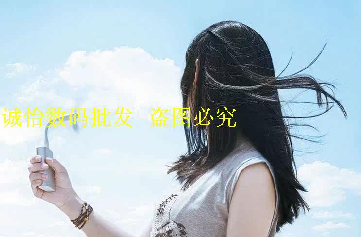 Ventilateur USB - Ref 401520 Image 5