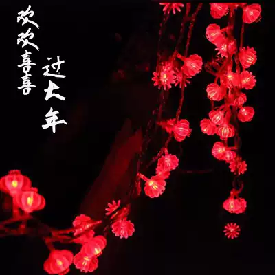 Lantern Chinese knot Lantern string New Year Spring Festival wedding outdoor interior decoration 220V110V lantern flashing light string