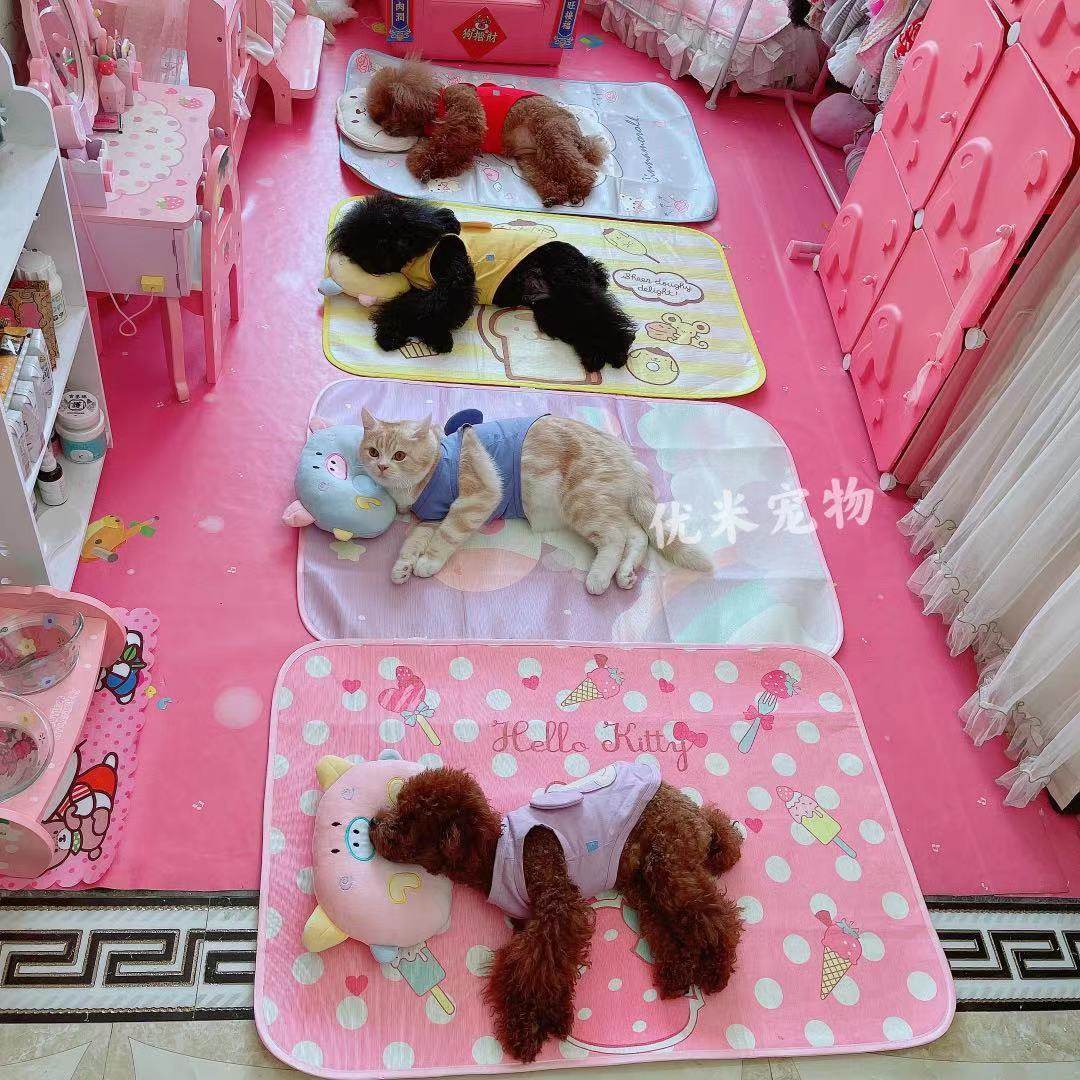 () Youmi family Amy self-use summer pet ice silk cool mat padded 6 color optional new product