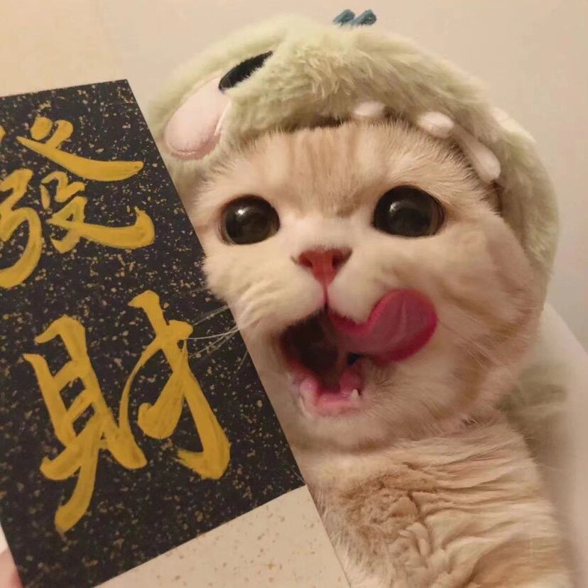 乐尧服饰