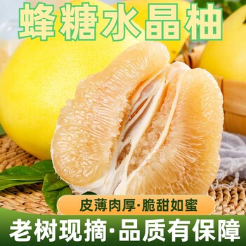 Honey crystal grapefruit authentic old tree fruit