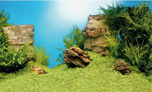 Special offer German black diamond JUWEL background painting fish tank wallpaper water grass rock series 150x60CM