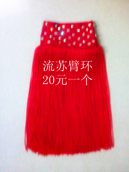 Latin new dream dance costumes rose red Latin dance practice clothes women's autumn and winter with arm ornaments tassel arm ring