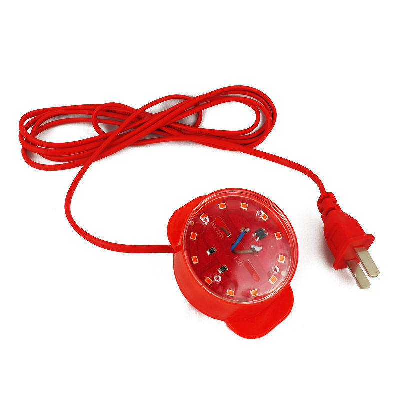 Spring Festival Lantern Festival lantern special lantern mate LED light bead with plug with 1 8 meter line outdoor waterproof energy saving