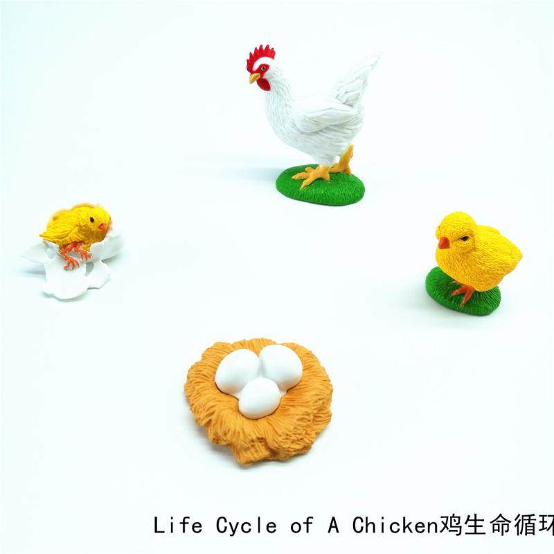 Simulation animal model toy chick cycle children baby early education puzzle enlightenment kindergarten teaching aids