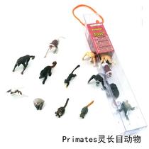 Simulation animal model toys Primate childrens baby puzzle early education Enlightenment kindergarten teaching aids orangutan