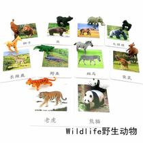 Simulation animal model three-segment card wild animals Montesori kindergarten teaching aids children baby educational toys deer