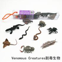 Simulation animal model toys highly toxic biological childrens early education puzzle Montesori kindergarten supplies teaching aids Scorpion