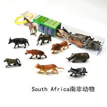 Simulation animal model toy South African animal rhino childrens puzzle Enlightenment kindergarten supplies early education teaching aids