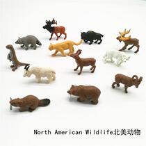 Simulation animal toy model North American animal Children Baby early education puzzle Enlightenment kindergarten teaching aids Elk