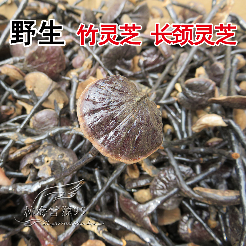 Wild bamboo lingzhi long neck lingzhi 250 gr