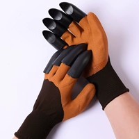 Двойная лапа кофе