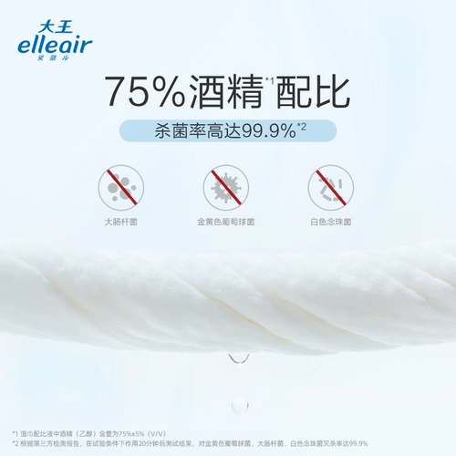 Король Эллеаир Санигирный