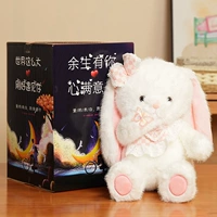 Кролик + Цветная коробка [Тот же стиль в комнате прямой трансляции знаменитостей в Интернете]