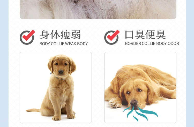 Nhập khẩu công thức protein tự nhiên Meitton Golden Retriever thức ăn cho chó đặc biệt chó trưởng thành chó con lớn loại chung 40 kg - Chó Staples thức an cho chó