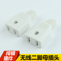  Monitoring two-pin female plug wireless all-copper 250V10A power supply two-hole socket engineering special waterproof box
