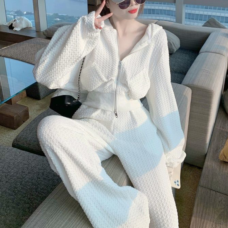 Autumn New Hooded Zipper Thin Sweatshirt Two-Piece Set Casual Fashion Running Sportswear White Suit for Women Trendy Autumn New Hooded Zipper Thin Sweatshirt Two-Piece Set Casual Fashion Running Sportswear White Suit for Women Trendy