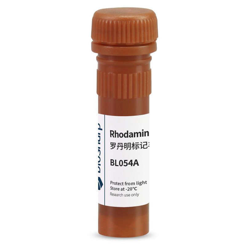 白鲨 Biosharp BL054A 罗丹明标记山羊抗小鼠IgG（H+L）